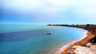 افزایش نسبی دمای هوا در استان بوشهر / اخبار بوشهر - اخبار استانها