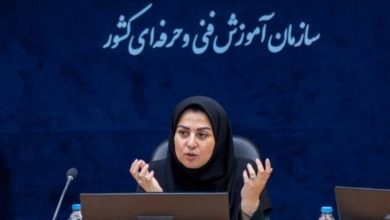 منصوری سرپرست سازمان آموزش فنیوحرفهای کشور شد / فاطمه منصوری , آموزش فنی و حرفهای , وزیر تعاون , کار و رفاه اجتماعی , احمد میدری