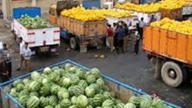 تولید محصولات کشاورزی کشور به 137 میلیون تن رسید / اخبار کرمانشاه - اخبار استانها