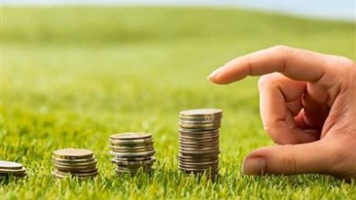ایجاد خط اعتباری 5 هزار میلیاردی برای حمایت از گردشگری کیش / اخبار جزایر خلیج فارس - اخبار استانها