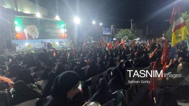 فریاد وحدت در 160مین شب تجمعات مردمی بوشهر / اخبار بوشهر - اخبار استانها