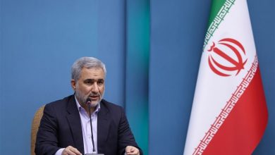 اسماعیلی: پزشکیان خودش را فرزند و خدمتگزار ملت میداند / اخبار سیاسی روز , اخبار دولت