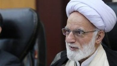 دری نجفآبادی: زیارت اربعین احیاگر شعارهای شیعه است / اخبار مرکزی - اخبار استانها