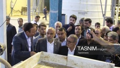 هیاهو برای هیچ؛ دست خالی مدیران کهگیلویه و بویراحمد رو شد / اخبار کهگیلویه و بویراحمد - اخبار استانها