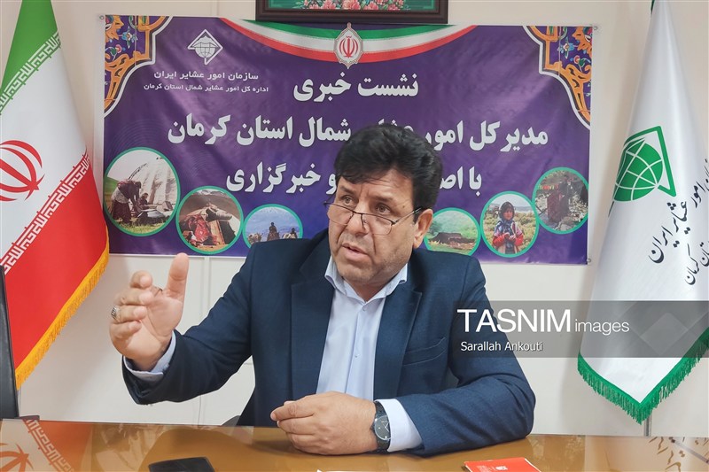 20 تا 25 درصد مناطق عشایری استان کرمان فاقد پوشش تلفن همراه است / اخبار کرمان - اخبار استانها