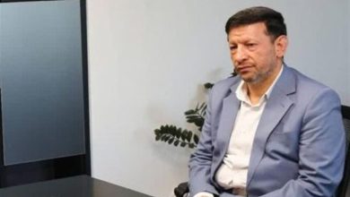 اسناد مالکیت روستاییان استان بوشهر طی 2 ماه آینده تحویل میشود / اخبار بوشهر - اخبار استانها