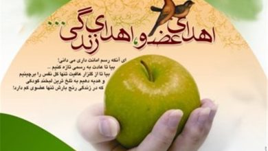 اهدای اعضای بانوی 42 ساله یزدی به بیماران نیازمند / اخبار یزد - اخبار استانها
