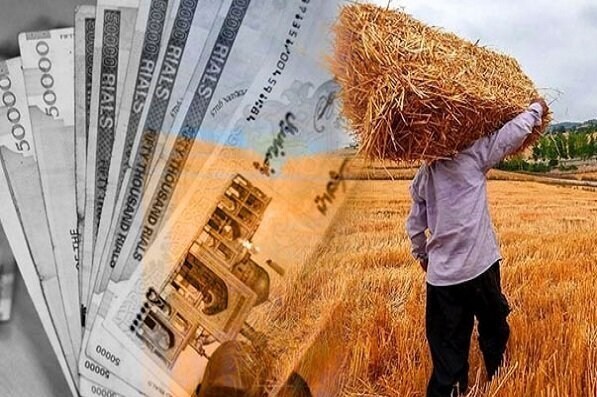 پرداخت یکسوم مطالبات گندمکاران سمنان؛ خرید تضمینی از 56 هزار تن گذشت / اخبار سمنان - اخبار استانها