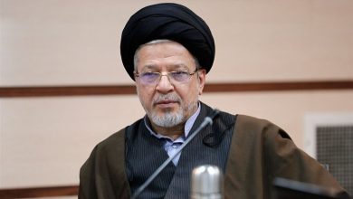 تقدیر عاملی از تصویب طرح رسیدگی به جرایم کیفری بینالمللی در مجلس / اخبار سیاسی روز , اخبار دولت