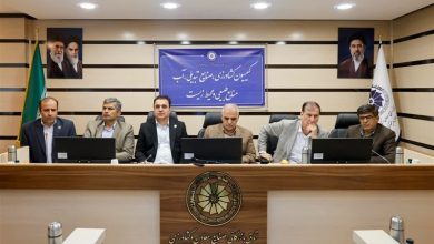 بادام چهارمحال و بختیاری از محصولات مهم صادراتی کشور است / اخبار چهارمحال و بختیاری - اخبار استانها