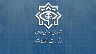 وزارت اطلاعات: فرانسه پاسخگوی مداخلات دیپلماتهایش باشد / اخبار سیاسی روز , اخبار سیاست خارجی