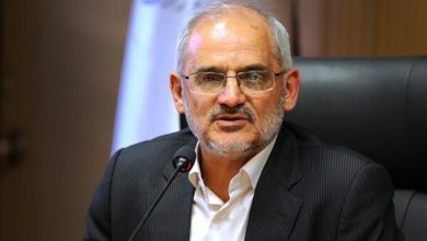حاجیمیرزایی: دولت در برابر فشارها پایداری خود را حفظ کرد / اخبار سیاسی روز , اخبار دولت