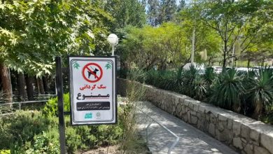 ابلاغ دستورالعمل ممنوعیت سگگردانی در بوستانها و فضاهای سبز مشهد / اخبار خراسان رضوی - اخبار استانها