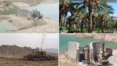 مسدودسازی 81 حلقه چاه غیرمجاز برای بازگشت دشت اهرم به تراز تعادلی / اخبار بوشهر - اخبار استانها