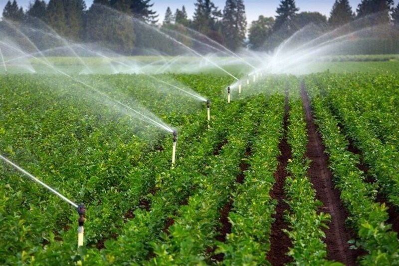 سرمایهگذاری 280 میلیارد تومانی در حوزه کشاورزی مشگینشهر / اخبار اردبیل - اخبار استانها