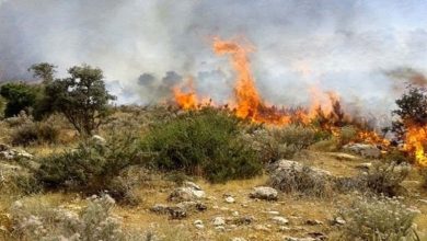 آتش برای دهمین بار در میانکاله زبانه کشید/ سریالی که پایان ندارد / اخبار مازندران - اخبار استانها