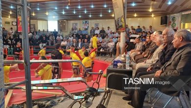 خبرنگاران دیدهبانان واقعی جامعه/ رسانه اجازه موجسواری نمیدهد / اخبار کردستان - اخبار استانها