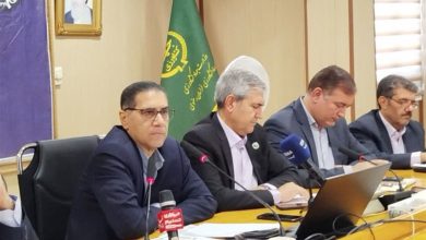 تضمین تولید پایدار با رشد چشمگیر خرید گندم و توزیع بذر در خراسان رضوی / اخبار خراسان رضوی - اخبار استانها