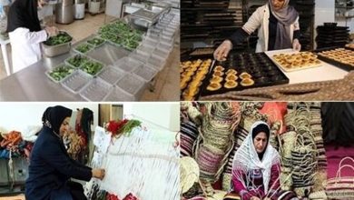 پرداخت 554 میلیارد تومان تسهیلات اشتغالزایی در اردبیل / اخبار اردبیل - اخبار استانها