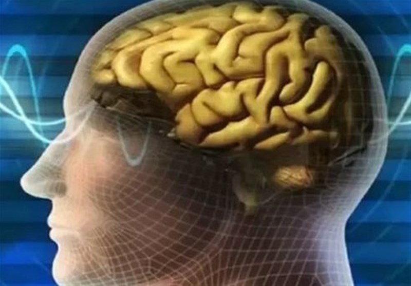 زنگ خطر آلزایمر را بشناسید؛ از فراموشی تا اختلال در تصمیمگیری / اخبار اصفهان - اخبار استانها