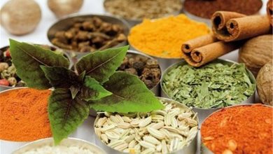 گره توسعه گیاهان دارویی همدان با تکمیل زنجیره ارزش باز میشود / اخبار همدان - اخبار استانها