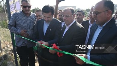 بهرهبرداری از 6.9 همت پروژه برقرسانی در گلستان / اخبار گلستان - اخبار استانها