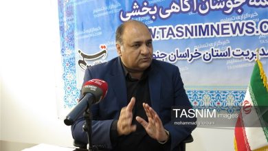 مهار ملخ در خراسان جنوبی چگونه امکانپذیر است؟ / اخبار خراسان جنوبی - اخبار استانها
