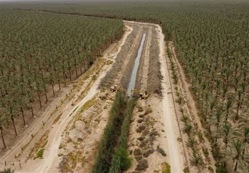 تدوین مدیریت مصرف آب در اراضی کشاورزی استان بوشهر / اخبار بوشهر - اخبار استانها