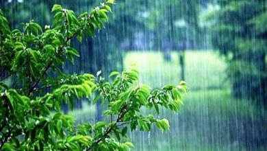 تغییرات جوی در شمال ایران با بارشهای پراکنده و کاهش دما / اخبار مازندران - اخبار استانها