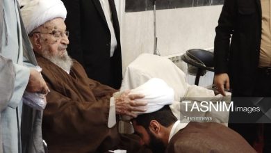 آیتالله مکارم شیرازی: طلاب، سربازان امام زمان(عج) هستند / اخبار قم - اخبار استانها