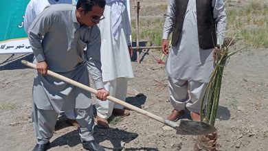 پروژه 158 هکتاری «پارک ملی زندگی» در سیرکان احداث میشود / اخبار سیستان و بلوچستان - اخبار استانها