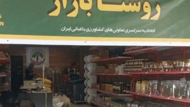 توسعه روستا بازارها برای حذف واسطهها در سیستان و بلوچستان / اخبار سیستان و بلوچستان - اخبار استانها