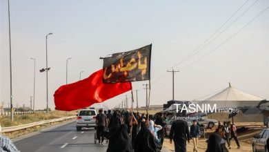 مشق دلدادگی جاماندگان اربعین حسینی در دیار آفتاب+تصاویر / اخبار مرکزی - اخبار استانها