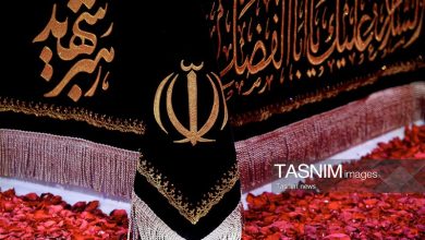عالم اهلسنت از عهد ملت با رهبر شهید میگوید+فیلم / اخبار کردستان - اخبار استانها