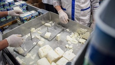 پیگیری میدانی مشکلات سردخانه لیقوان برای جهش صادرات پنیر / اخبار آذربایجان شرقی - اخبار استانها