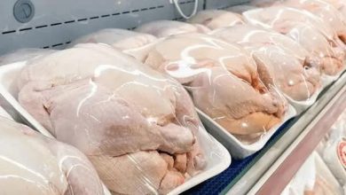 ضرورت تغییر الگوی تولید و مصرف مرغ برای افزایش بهرهوری در صنعت / مرغ، مرغداری، تولید مرغ، مصرف مرغ، بهرهوری , , , ,