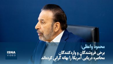 واعظی: برخی در بخش خصوصی کالاها را دپو میکنند تا گرانتر بفروشند / محمود واعظی , گرانی , گرانفروشی , دپو کالا , بخش خصوصی