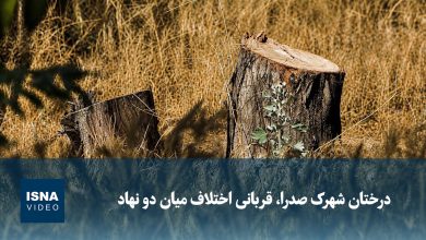 اختلاف تعاونی مسکن جهاد کشاورزی و شهرداری منطقه ۲۲، فضای سبز شهرک صدرا را نابود کرد / شهرک صدرا , منطقه ۲۲ تهران , فضای سبز , اختلاف سازمانی , تعاونی مسکن جهاد کشاورزی