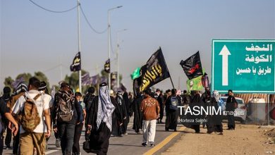 ببینید| فرمانده مرزبانی: 3 میلیون و 300 هزار زائر از مرزها تردد کردند / اخبار ایلام - اخبار استانها