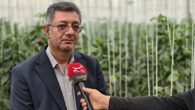 موانع بزرگترین گلخانه هلیلان با دستور استاندار رفع میشود / اخبار ایلام - اخبار استانها