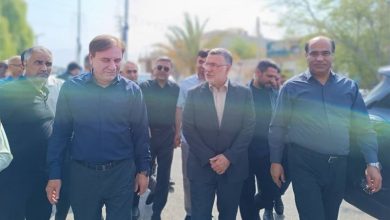 سفر وزیر بهداشت به استان بوشهر با هدف ارتقای شاخصهای درمانی / اخبار بوشهر - اخبار استانها
