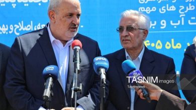 علیآبادی: ظرفیت نیروگاههای خورشیدی بهزودی به 8000 مگاوات میرسد / اخبار کرمانشاه - اخبار استانها