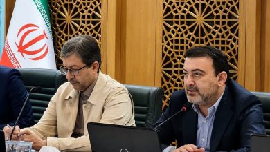 انتقاد تند معاون وزیر کشور از مناطق آزاد؛ خشت اول را اشتباه گذاشتیم / اخبار اصفهان - اخبار استانها