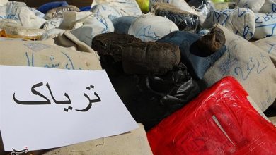 کشف 22 کیلوگرم مواد مخدر تریاک در همدان / اخبار همدان - اخبار استانها