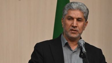 افزایش فشارهای معیشتی به کشاورزان؛ دولت پول گندم را سریعتر پرداخت کند / اخبار گلستان - اخبار استانها