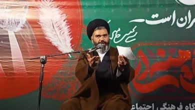 پیادهروی اربعین نمایش اقتدار جبهه مقاومت است / اخبار استان تهران - اخبار استانها