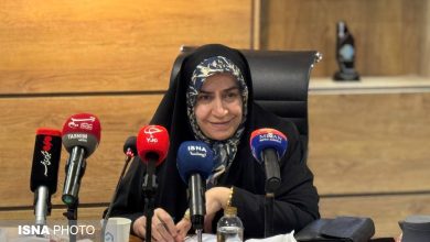 عضو کمیسیون اقتصادی مجلس: حمایت از خودرو نباید بدون قید و شرط باشد / خودرو , صنعت خودرو , کمیسیون اقتصادی مجلس , کیفیت خودرو , حقوق شهروندی