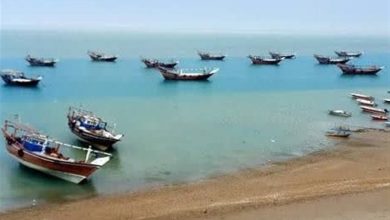 ثبت دمای 50 درجه و بالاتر در شهرهای استان بوشهر / اخبار بوشهر - اخبار استانها
