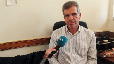 ایلام در جمع ۶ استان برتر تولیدکننده ذرت کشور؛ آغاز تحول در راندمان آبیاری و کشت مستقیم / ذرت , ایلام , کشاورزی , تولید , راندمان آبیاری