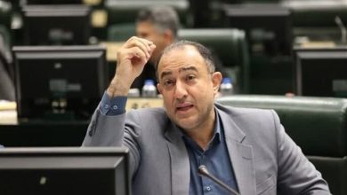فاطمی: دولت به وعده خود درباره نیروهای شرکتی عمل کند / اخبار سیاسی روز , اخبار دولت